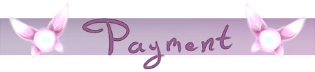 payment rules